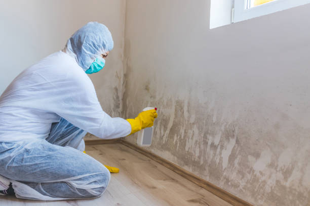 Crawl Space Mold Remediation treatment of floor joists in Sharpsburg